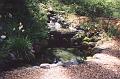 Decorative stream watergarden created from house water storage overflow